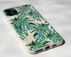 Eco-Friendly Cases